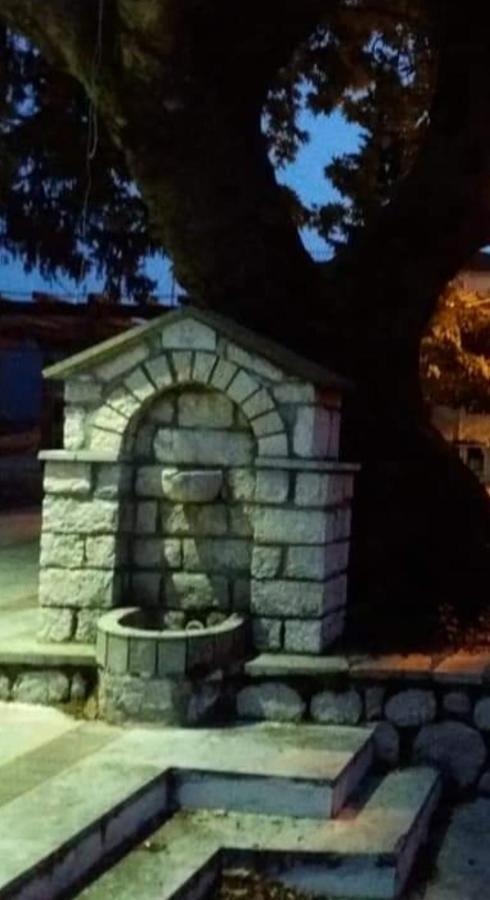 Άγρια Λούλουδα Κατοικία Αρμονία Timfristos Exterior photo